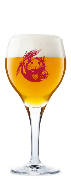 Gulpener Speciaalbierglas - Per 6st. 25cl