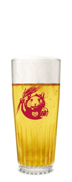 Gulpener Glas Ribbel - Per 6st. 25cl