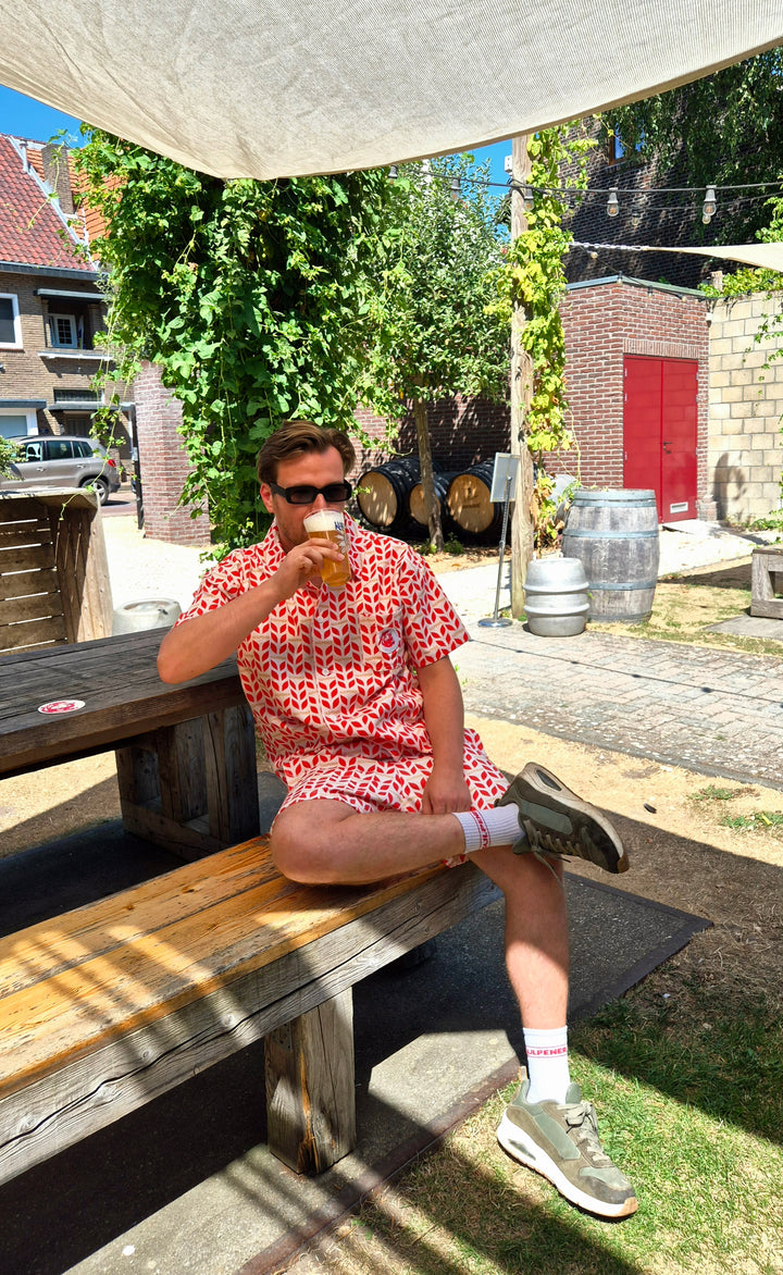 Gulpener Zomer pak